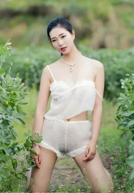 di-mong-bu